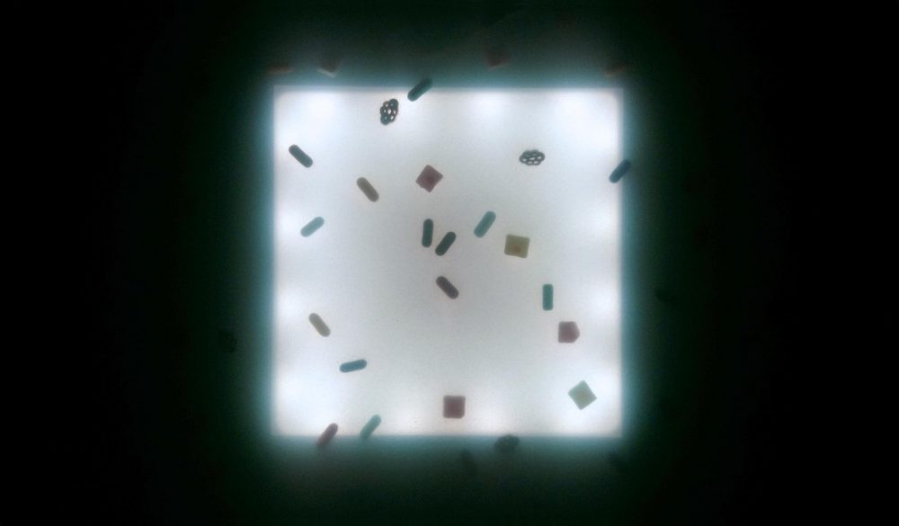 19.2.2018. Half-life / Vesna Salamon
